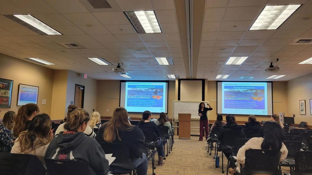 COBI training session in progress - Julie Kurtz presenting to a group of professionals
